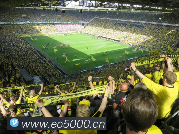 开云官方登录发展历程